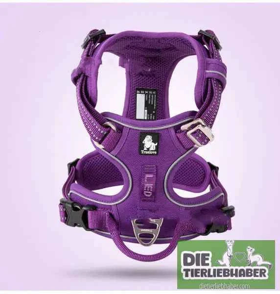 Perfektes Hundegeschirr für kleine und große Hunde – Komfort und Sicherheit für jeden Vierbeiner