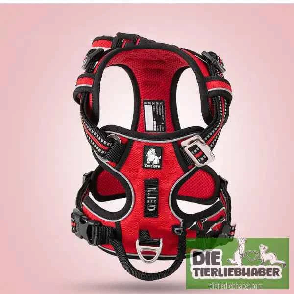 Perfektes Hundegeschirr für kleine und große Hunde – Komfort und Sicherheit für jeden Vierbeiner