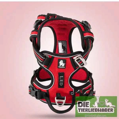 Perfektes Hundegeschirr für kleine und große Hunde – Komfort und Sicherheit für jeden Vierbeiner