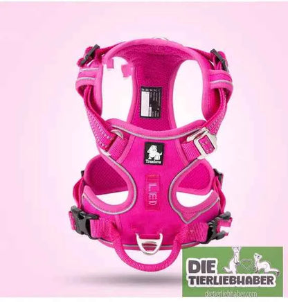 Perfektes Hundegeschirr für kleine und große Hunde – Komfort und Sicherheit für jeden Vierbeiner