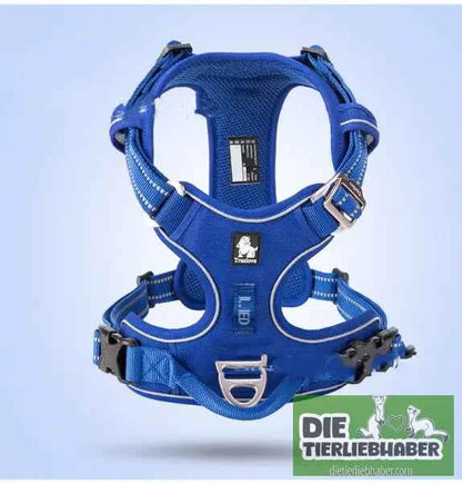 Perfektes Hundegeschirr für kleine und große Hunde – Komfort und Sicherheit für jeden Vierbeiner