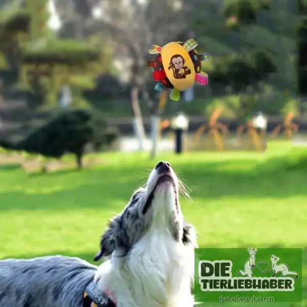 Plüsch Spielzeug mit Glocke - Spielzeug