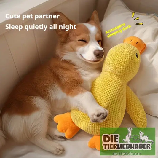 Plüschente kann quaken und beruhigt den Hund - Spielzeug