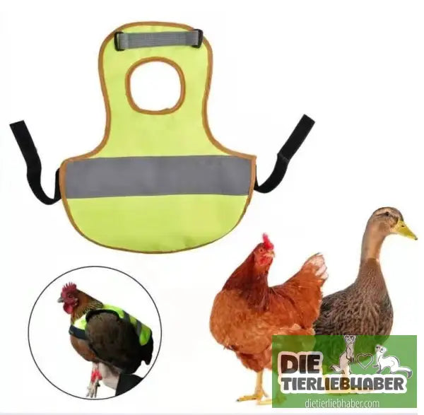 Reflektierende Weste für Hühner - Green - Sicherheit