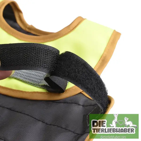 Reflektierende Weste für Hühner - Sicherheit