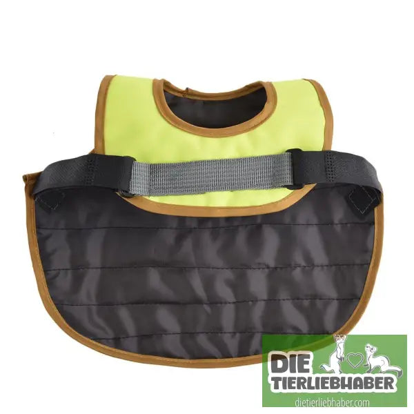 Reflektierende Weste für Hühner - Sicherheit