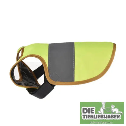 Reflektierende Weste für Hühner - Sicherheit