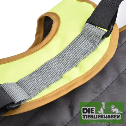 Reflektierende Weste für Hühner - Sicherheit