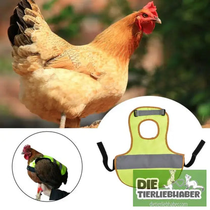 Reflektierende Weste für Hühner - Sicherheit