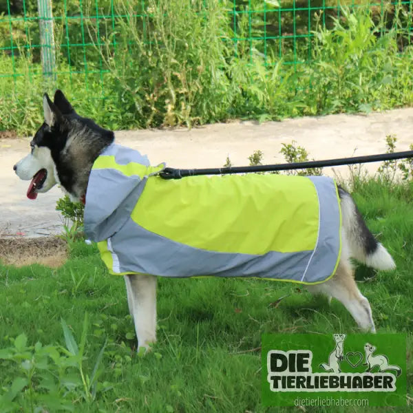 Regenmantel für Hunde - Hunde und Katzenkleidung