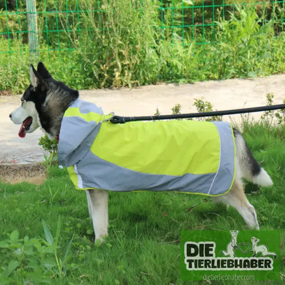 Regenmantel für Hunde - Hunde und Katzenkleidung
