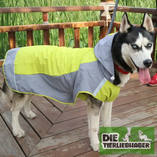 Regenmantel für Hunde - Hunde und Katzenkleidung