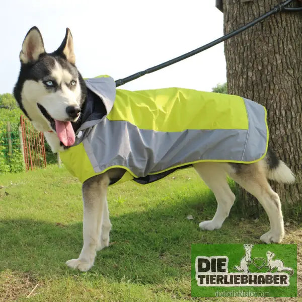 Regenmantel für Hunde - Hunde und Katzenkleidung