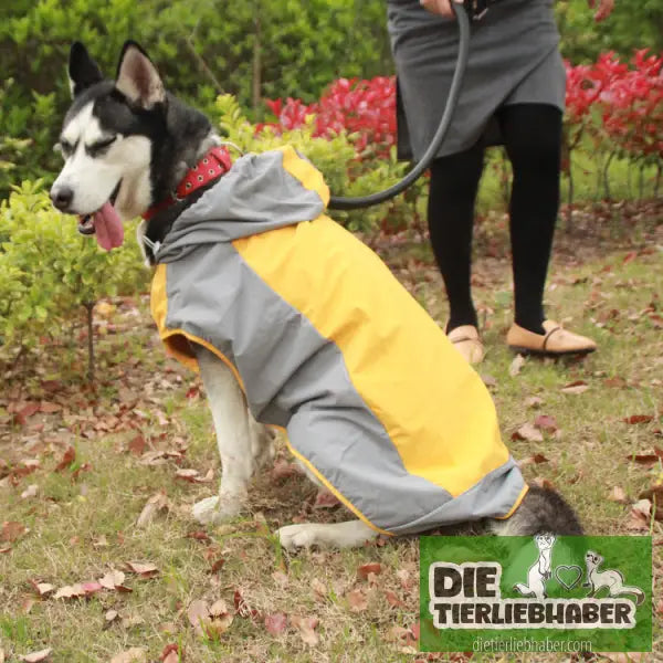 Regenmantel für Hunde - Yellow / 12size - Hunde und Katzenkleidung