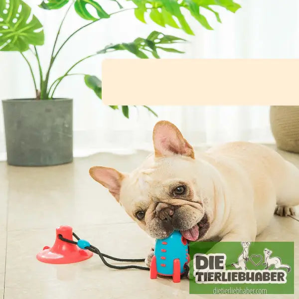Rocket-Hundespielzeug - Biting toy - Spielzeug