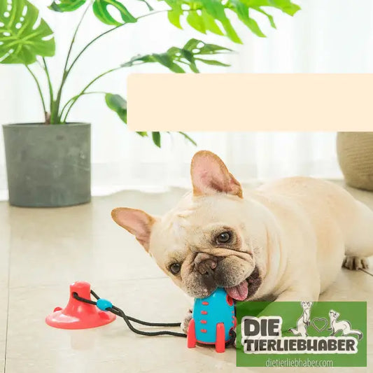 Rocket-Hundespielzeug - Biting toy - Spielzeug