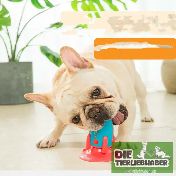 Rocket-Hundespielzeug - Biting toy - Spielzeug