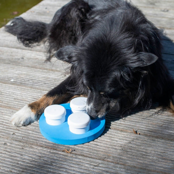 Hunde Schnüffel-Set mit Geruchsbehältern, Klicker und EVA-Kunststoffring für artgerechte Beschäftigung und Geruchstraining.