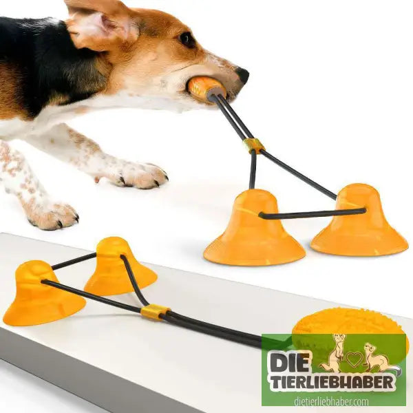 Saugnapf-Haustierspielzeug - Drange silent - Kauspielzeug für Hunde