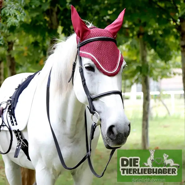 Schlauchzügel Rindslederschlauch - Alles Rund ums Pferd