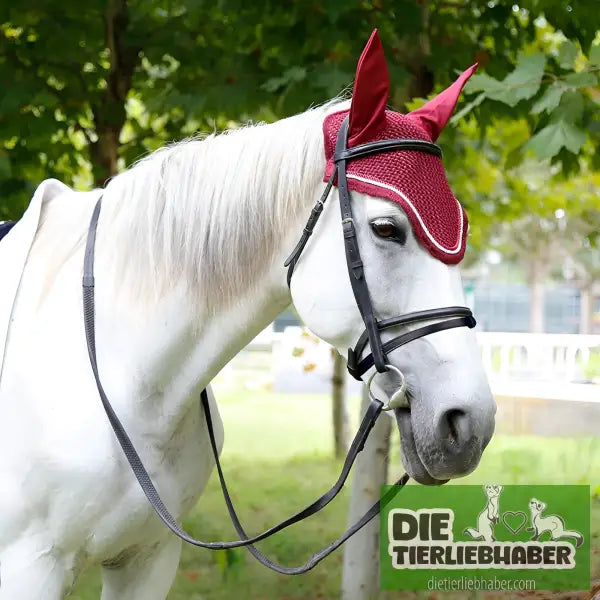Schlauchzügel Rindslederschlauch - Alles Rund ums Pferd