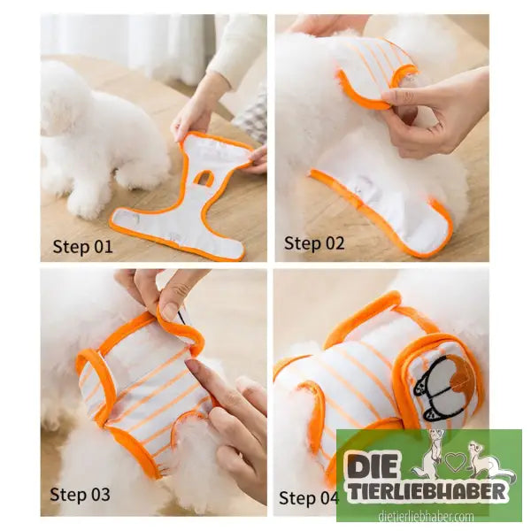 Schutzhose für läufige Hündinnen - Hunde Zubehör