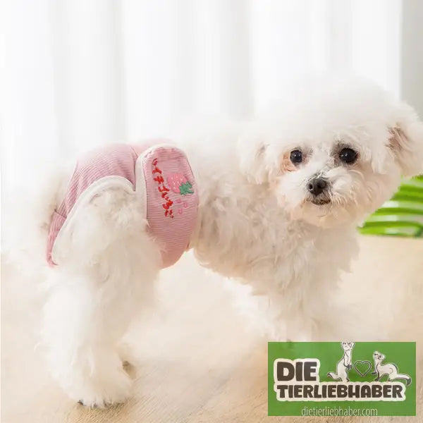 Schutzhose für läufige Hündinnen - Hunde Zubehör