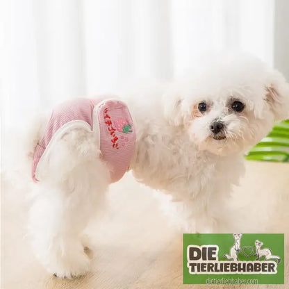 Schutzhose für läufige Hündinnen - Hunde Zubehör