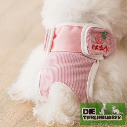 Schutzhose für läufige Hündinnen - Zhizhi berry / L - Hunde Zubehör