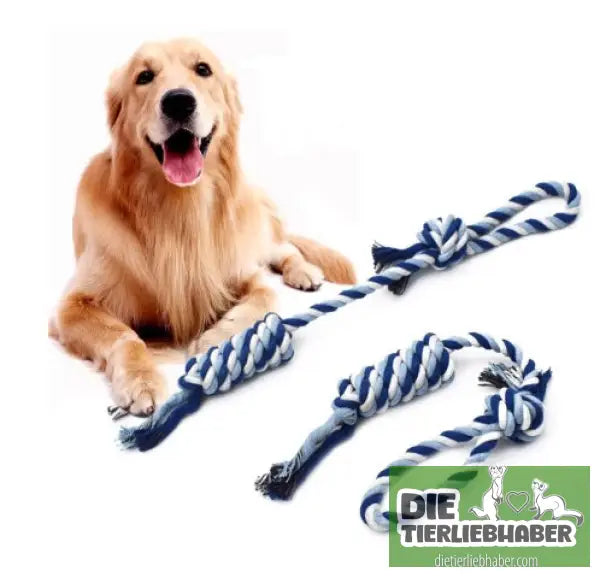 Seilspielzeug - Blue / 50cm - Hunde Zubehör