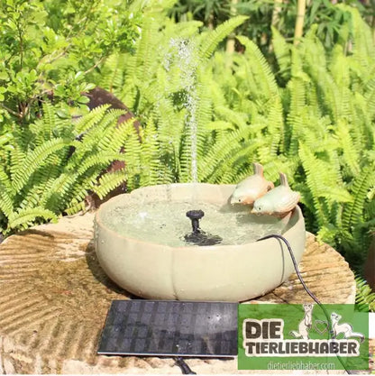Solar-Wasserbrunnen für Teich & Garten - Black - Teichzubehör