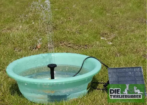 Solar-Wasserbrunnen für Teich & Garten - Black - Teichzubehör