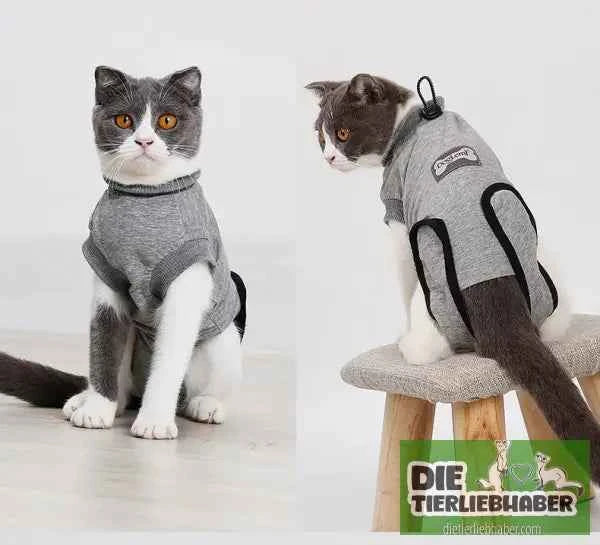 Stabilisierender Anzug für Katzen nach Operationen