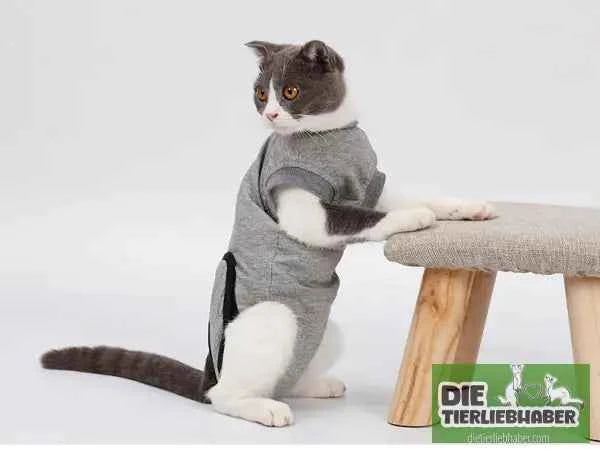 Stabilisierender Anzug für Katzen nach Operationen