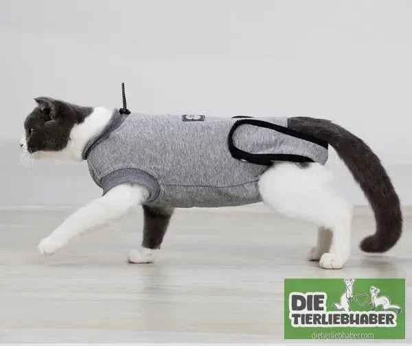 Stabilisierender Anzug für Katzen nach Operationen