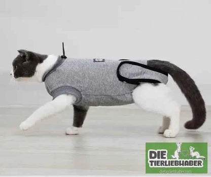 Stabilisierender Anzug für Katzen nach Operationen