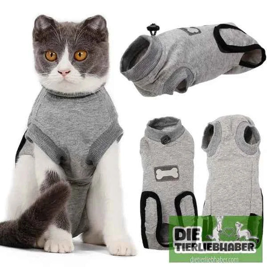 Stabilisierender Anzug für Katzen nach Operationen