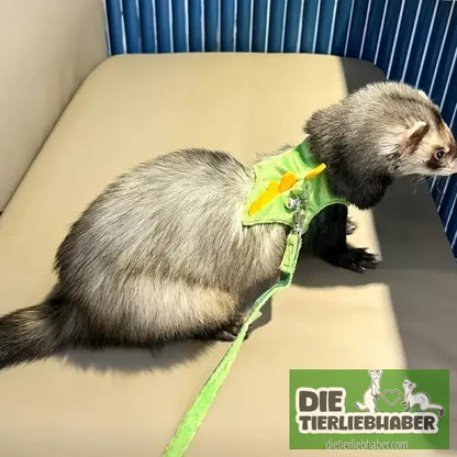 Süßes Frettchen-Geschirr mit Leine – Dino-Look bequem & verstellbar - Haustierbedarf