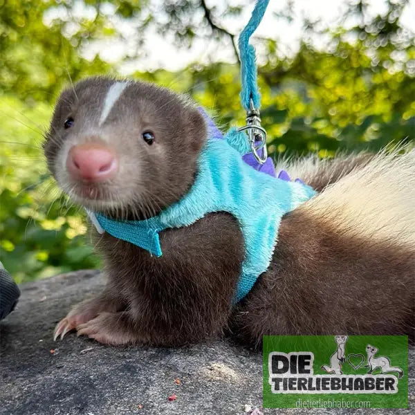 Süßes Frettchen-Geschirr mit Leine – Dino-Look bequem & verstellbar - Haustierbedarf