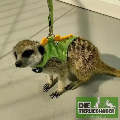 Süßes Frettchen-Geschirr mit Leine – Dino-Look bequem & verstellbar - Haustierbedarf