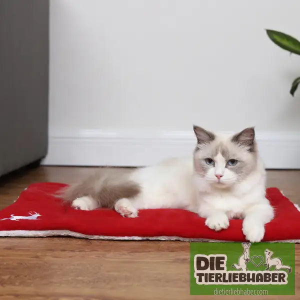 Superweiche Haustiermatte im Weinachtlichen Design - Flauschiger Liegeplatz für Hund Katzen F