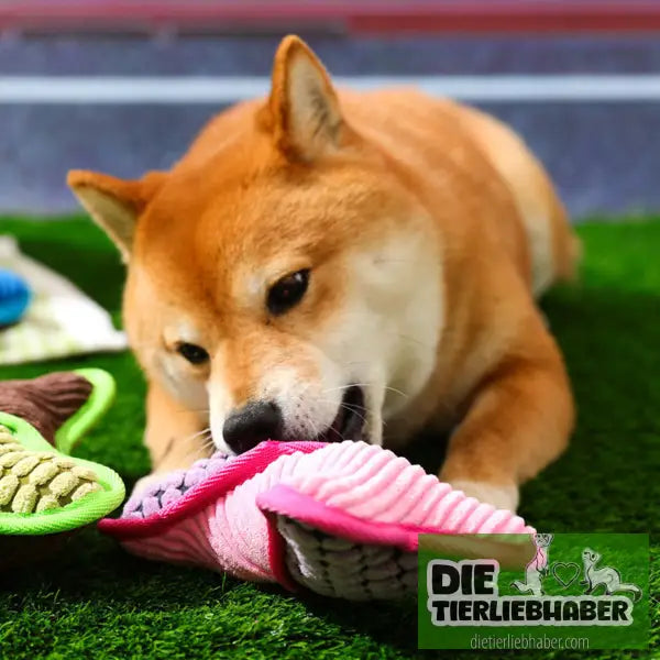 Teddy-Spielzeug bissfest Spielzeug zur Linderung von Langeweile - Kauspielzeug für Hunde