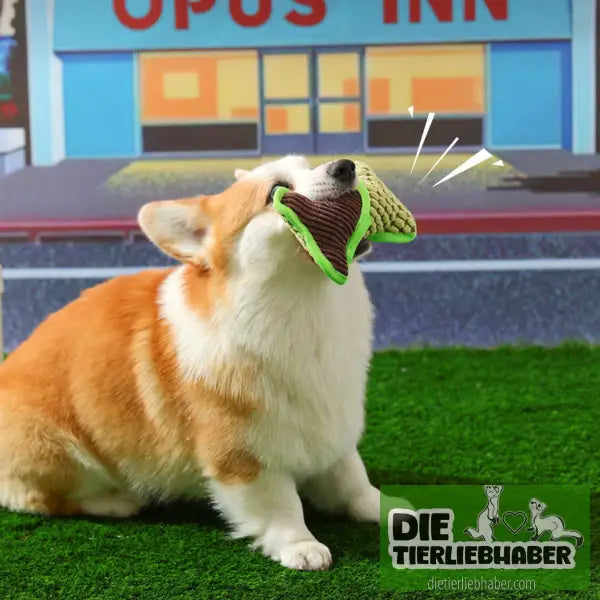 Teddy-Spielzeug bissfest Spielzeug zur Linderung von Langeweile - Kauspielzeug für Hunde