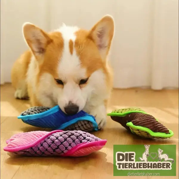 Teddy-Spielzeug bissfest Spielzeug zur Linderung von Langeweile - Kauspielzeug für Hunde