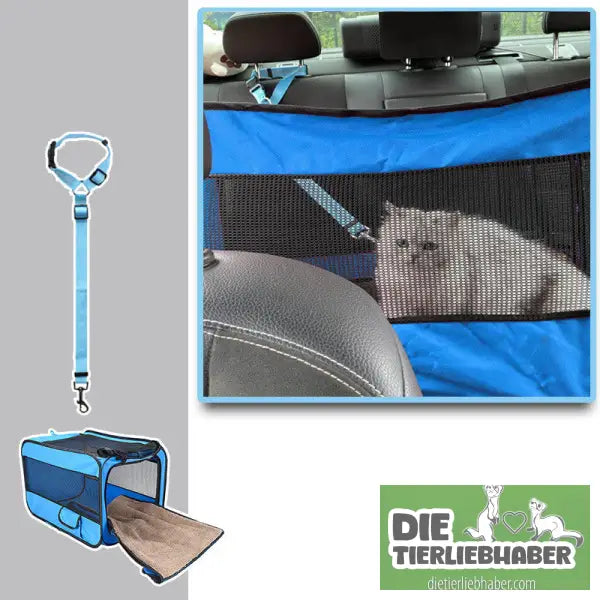 Tragbare Haustier-Transporttasche - Blue / With pet safety belt / M - Transport