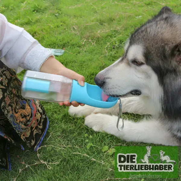 Tragbare Wasserflasche für Katzen und Hunde - Alles Rund ums Pferd