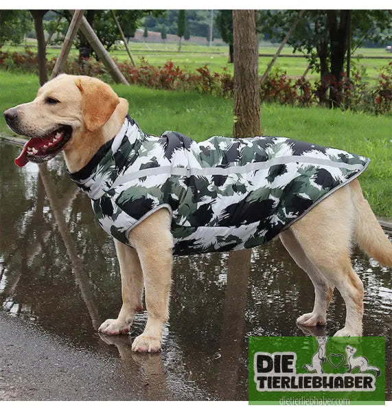 Warme Hundekleidung - Hunde und Katzenkleidung