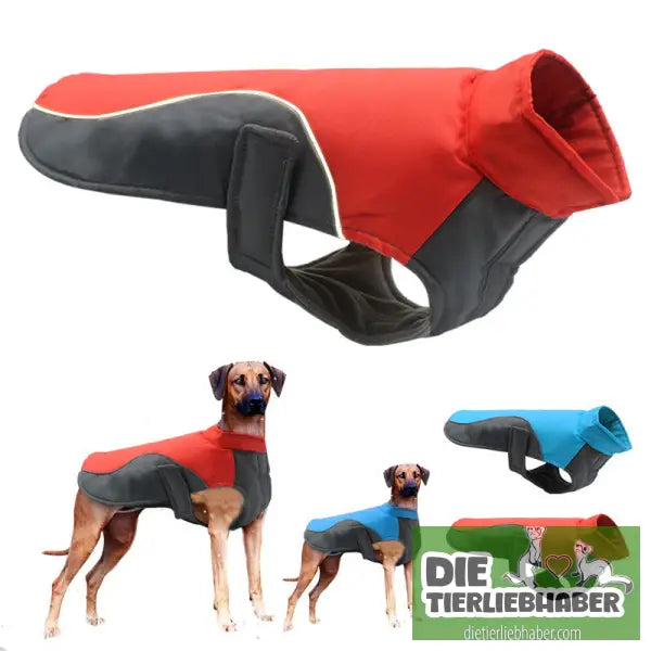Wasserdichte reflektierende Jacke für große Hunde - Hunde und Katzenkleidung