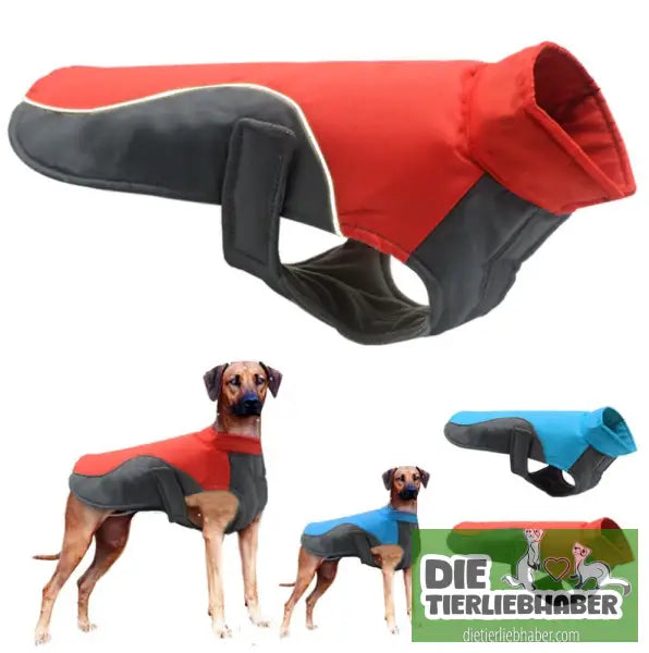 Wasserdichte reflektierende Jacke für große Hunde - Hunde und Katzenkleidung