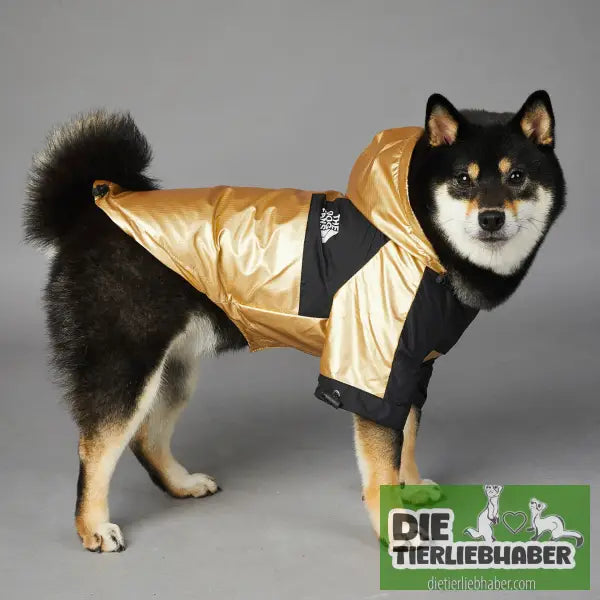 Wind- und regendichte Regenmantel-Shelljacke für große Hunde - Hunde und Katzenkleidung